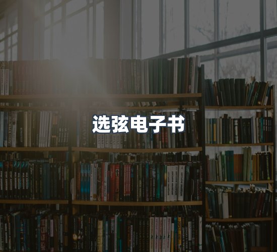关于选弦电子书